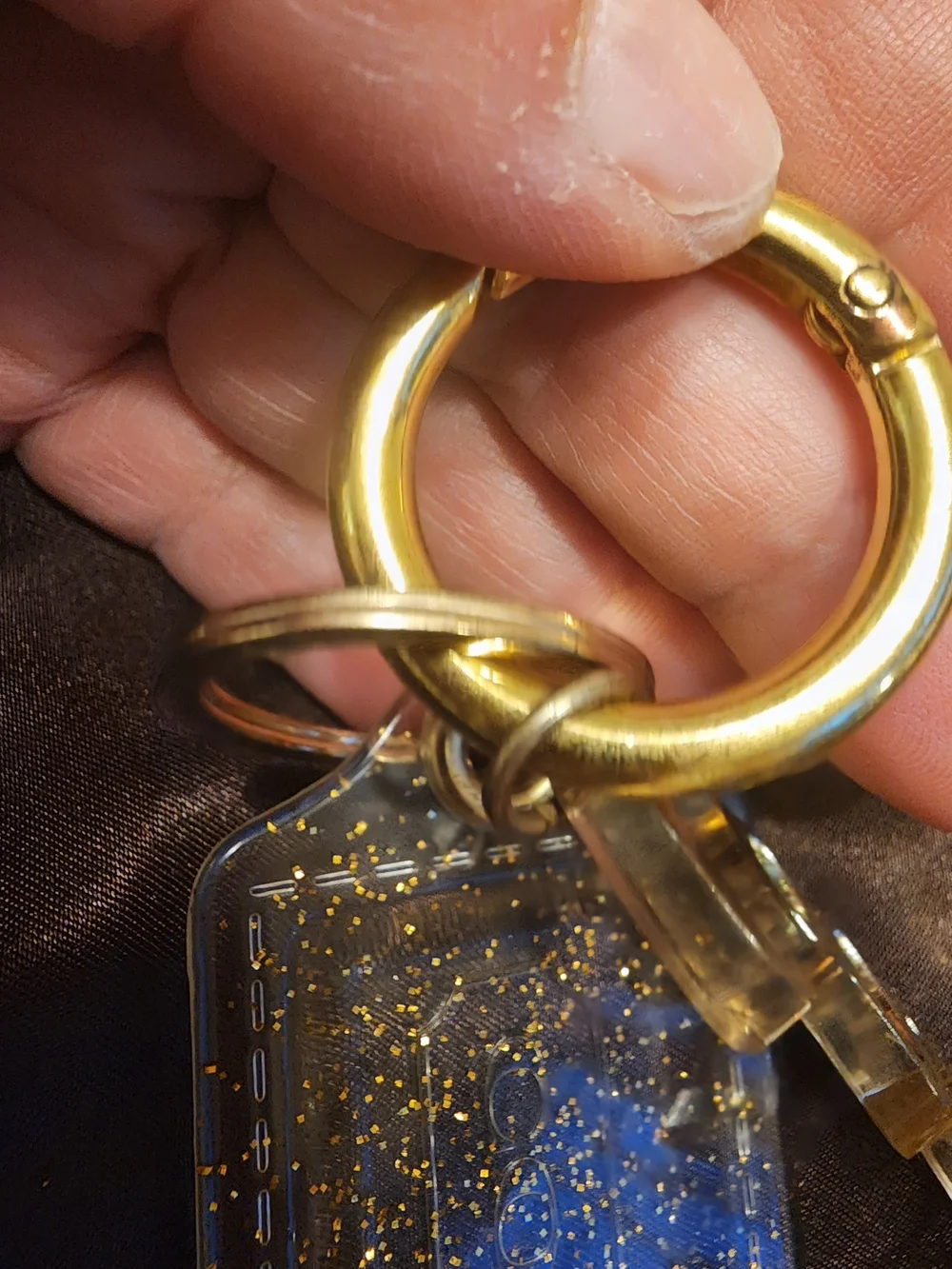 Coach vintage poppy